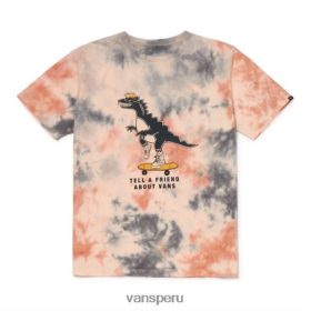 Vans Peru NBDZ463391 teñido anudado rosa | Vans decirle a un amigo teñir la camiseta